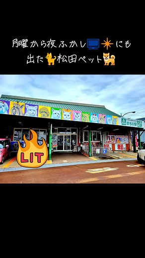 新潟県長岡市の松田ペットの魅力