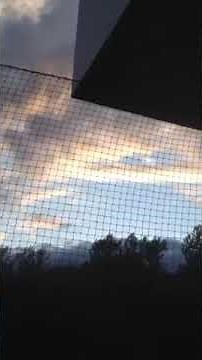 Protection Chat: filet posé sur balcon