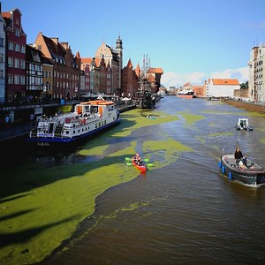 Free things to do in Gdansk