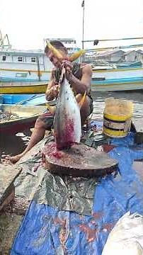 Uncle Yusup's exceptional skill in slicing fresh tuna is impressive #fyp #tuna_fish_cutting #amazing