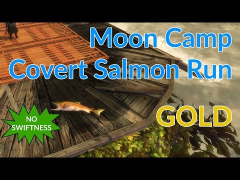 GW2 Janthir Wilds - How to get gold on the Moon Camp: Covert Salmon Run adventure with no Swiftness