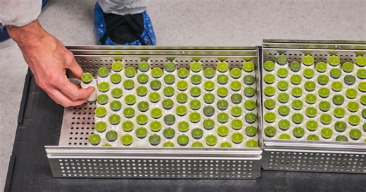 Hot Picks in biotech stocks