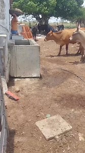 #facebook #reels #jakelinevaqueira | Jakeline Franklin Vaqueira