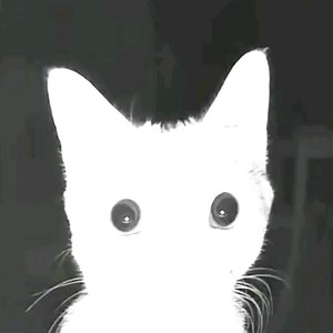 spottedgamer112 - Twitch