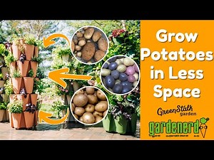Grow Potatoes in Less Space - Vertical Gardening