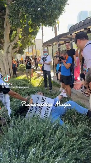 42K views · 2.3K reactions | Man holding a "You proved Charlie right" sign was ATTACKED and pushed to the ground by anti-ICE leftists. After getting up, an activist tried to steal his sign while another threw a liquid on him. The Left loves violence. Charlie was right. | Libs of Tik Tok | Facebook