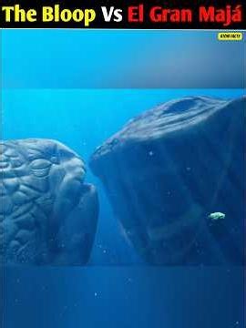 El Gran Majá vs The Bloop - Sea-Eater: Who Will Win This Fierce Battle? 🤯😱