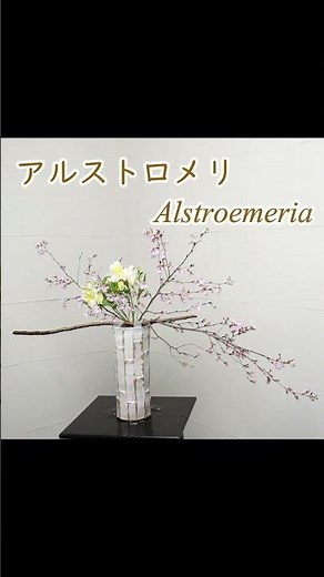 【さくらのいけばな】 初心者でもコツが分かればとっても簡単！ 生け方の基本からアレンジまでサクッと紹介。Japanese ikebana lesson for beginners
