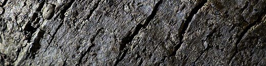 The basics of macro texture photography