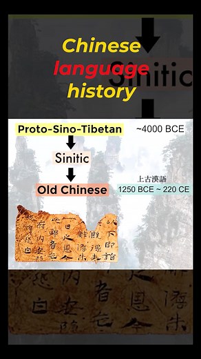 The History and Development of Chinese Language