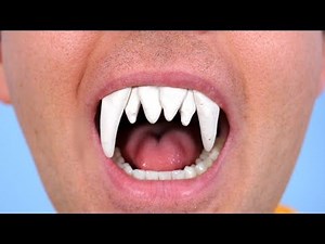 Dog Teeth Grow In Mouth!