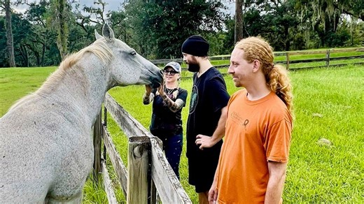 Looking for fun events? Top 5 things to do around Tallahassee