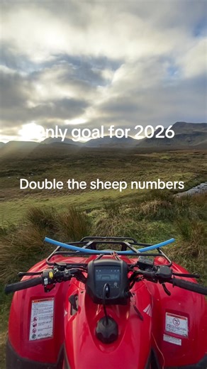 Increasing Sheep Numbers for Sustainable Farming