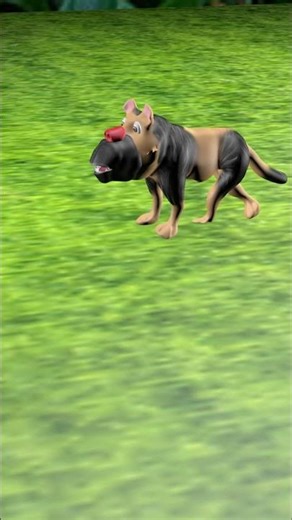 Funny Dog Dancing & Barking – Cutest Comedy Moment Ever! 🐶😂#shorts #FunnyDog #DogComedy #DancingDog