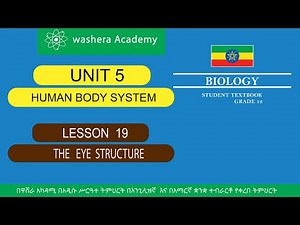 BIOLOGY GRADE 12 UNIT 5 LESSON 19 THE EYE STRUCTURE