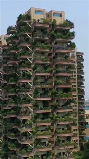 Amazing 3D art interaxt with nature visuals5