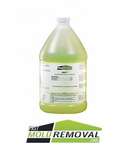 Remediation Professionals Speak Out About MMR Mold Stain Remover