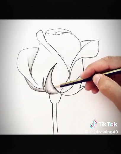 Step-by-Step Guide to Drawing a Beautiful Flower