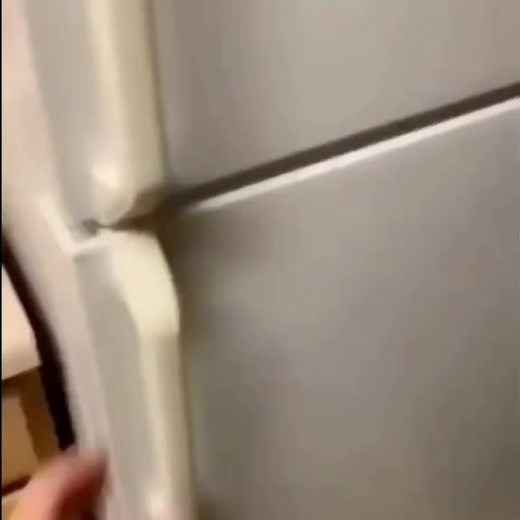 Fun Kitchen Moments with a Cat and Appliances