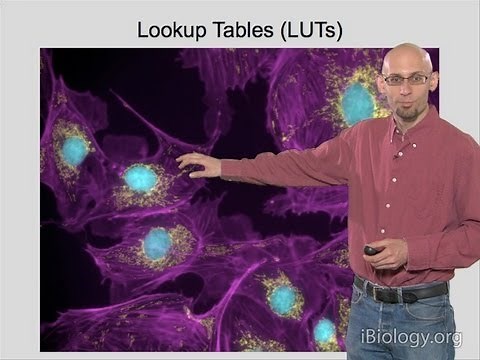 Microscopy: Introduction to Digital Images (Kurt Thorn)