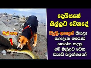 මේවා නොදකින දෑස කුමටද ? EP:87