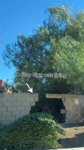 Tacollynn on Instagram: "Fontana Winds are strong 💨 #fontana #windy #wtf #strongwind #windyday"