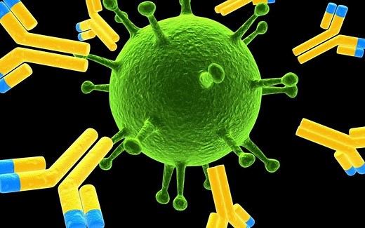 ADC药物分析技术趋势解读与案例分享