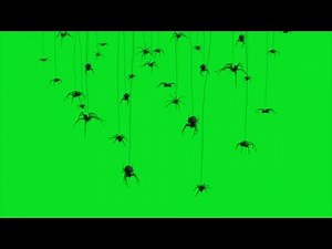 🕷 Glitch Spiders Halloween Overlay Green Screen Footage 4K NO COPYRIGHT 🕷