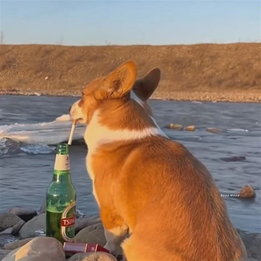 Mood 🙂💔 | Ｄｅｅｐ Ｍｏｏｄ