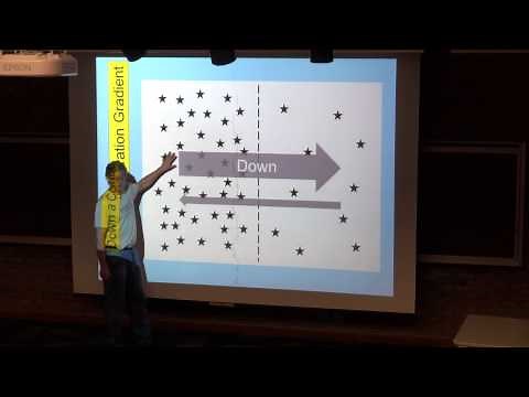 Down a Concentration Gradient