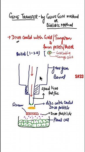 Gene Transfer by Gene Gun method/Biolostic method of gene transfer #shorts #geneticengineering
