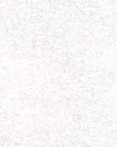 Hogs vs Longhorns 🐗 | Arkansas Razorback Football