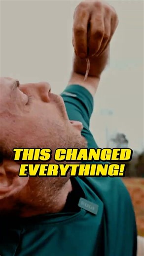 Why Worms Are Secret Soil Heroes