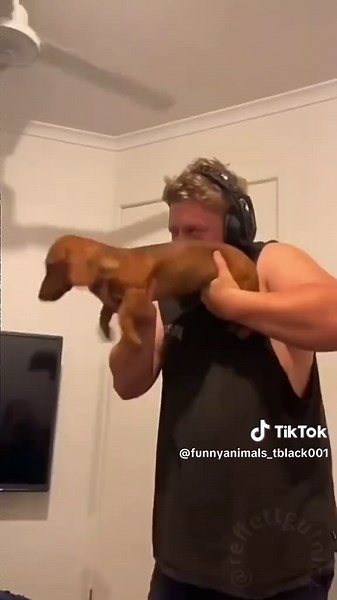 Funny Dog Compilation: Hilarious Clips of Cute Dogs