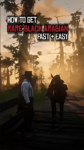 RDR2 The Rarest Black Arabian Horse In Saint Denis 🐎 (All Chapters)