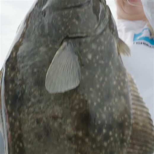 It’s big! It’s real big! Bottomfish and fish tacos. | Addicted Fishing