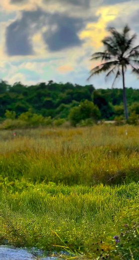 🤲🏻#fypシ #cryptonx #v1buruk #lcv1jahat #pansheng⚡ #lc135malaysia