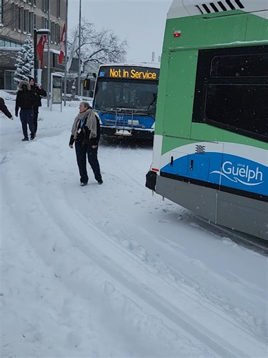 snow day for everyone who doesn't have experiments going on in lab #phdstudent #phdlife #snowday #guelph #research