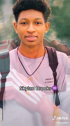 Skylan Brooks Movies and TV Shows: Explained