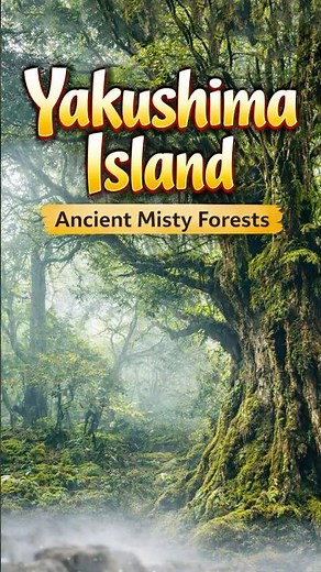 Yakushima Island: Japan’s 7,000-Year-Old Forest That Inspired Princess Mononoke 🇯🇵 #japan #travel