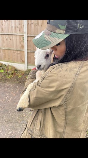 Meet Charlotte 🐑🤎 #fyp #sheep #lamb #farm #animals