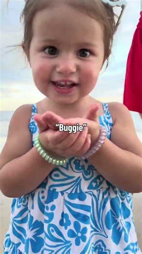 Buggies (sand fleas)