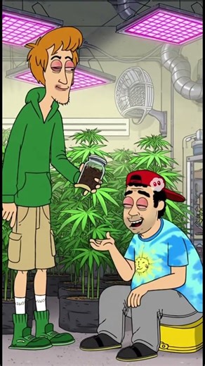 Benefits Of Earthworm Castings #earthworm #organicgardening