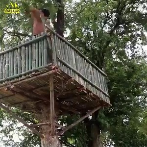Incroyable piscine sur l'arbre? | Ivoirmixdj.com