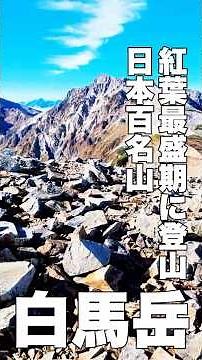 白馬岳登山【2日目】紅葉最盛期に登山！【日本百名山】白馬岳2,932m山頂へ！【旅行VLOG、レビュー】白馬大池山荘〜船越の頭〜小蓮華山〜白馬岳〜白馬山荘 # 白馬岳 #日本百名山 #登山 #小蓮華山