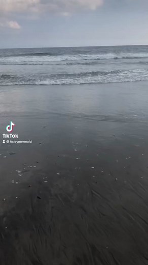 H2o or mako mermsids? #mermaid #mermaidtail #haleymermaid #spfx #custommade #costume #cosplay #h2o #h2ojustaddwater #makomermaids #makoisland #performer #beach #transformation #professionalmermaid #littlemermaid #mermaidtiktok #littlemermaid #realmermaid #mylife #comission #artist #art