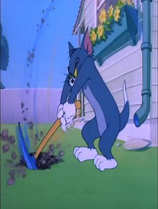 578K views · 8.4K reactions | Classic Cartoon _ Tom & Jerry | Saint Comics | Facebook