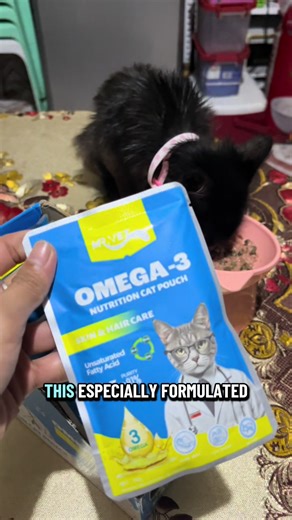 Omega-3 Care for Persian Cats: Skin and Coat Support