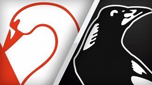 Highlights: Sydney Swans v Collingwood