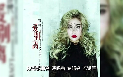 1_65_Meta for Mac v1.9.5 中文版下载 音乐标签编辑软件